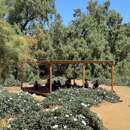 Rancho Dominique Valle De Guadalupe Dış mekan fotoğraf