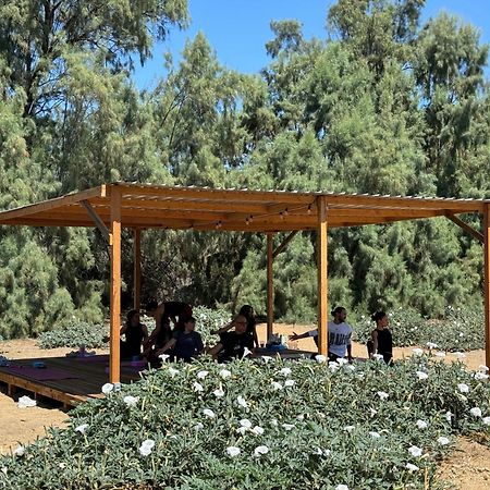 Rancho Dominique Valle De Guadalupe Dış mekan fotoğraf