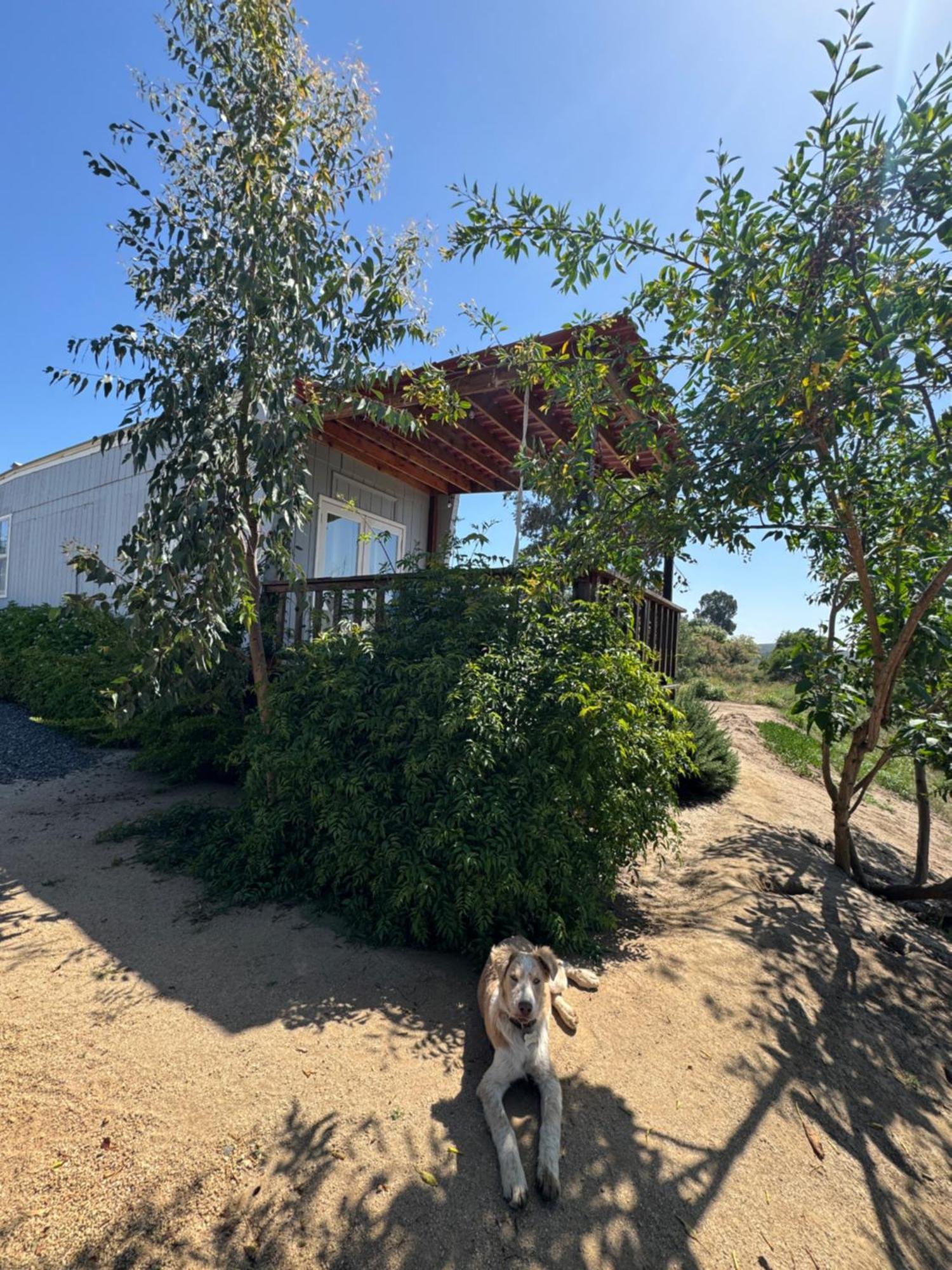 Rancho Dominique Valle De Guadalupe Dış mekan fotoğraf