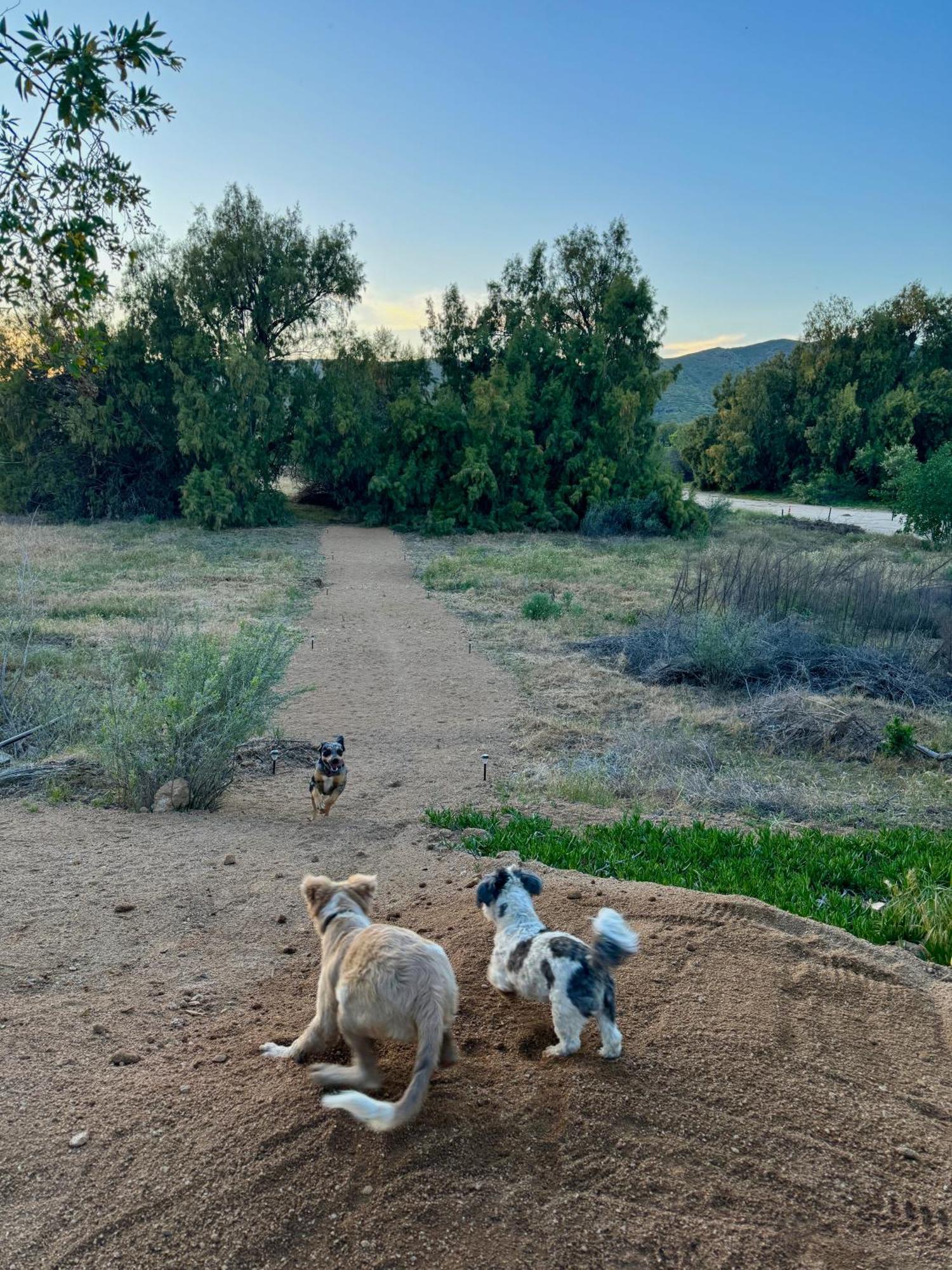 Rancho Dominique Valle De Guadalupe Dış mekan fotoğraf