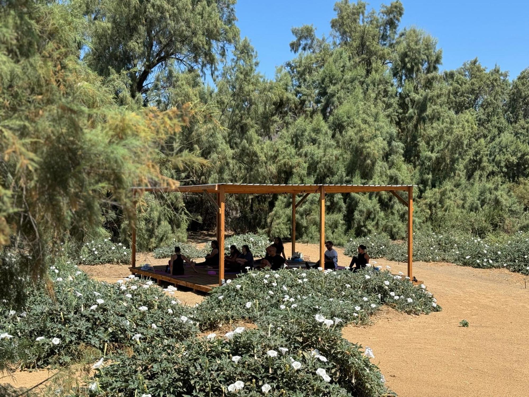 Rancho Dominique Valle De Guadalupe Dış mekan fotoğraf